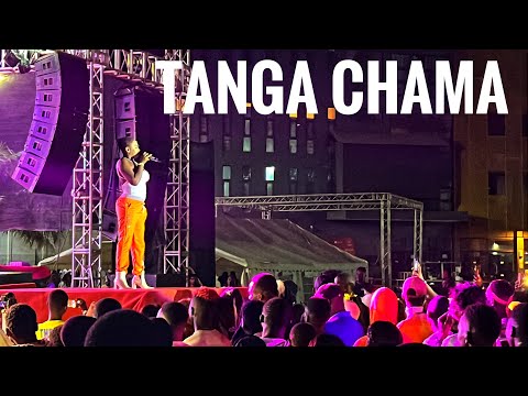 TANGA CHAMA Performance at - KIDI live in Gambia CONCERT