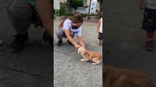 天気がいいのでおテン散歩