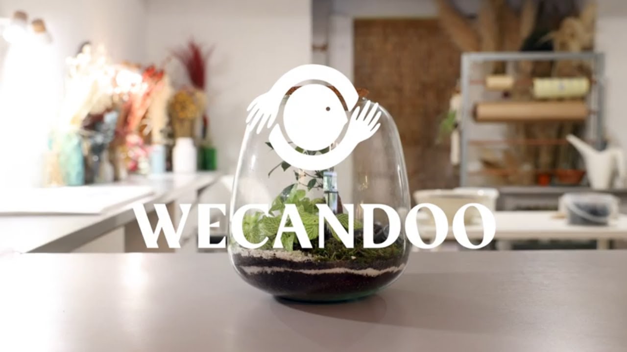 Réalisez votre terrarium en taille M - Vidéo
