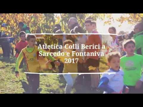 Campestri CSI Sarcedo e Fontaniva 2017