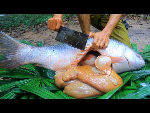 download lagu mp3 mp4 Cooking Food, download lagu Cooking Food gratis, unduh video klip Cooking Food