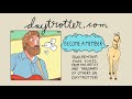 The Deep Dark Woods - Pacing The Room - Daytrotter Session