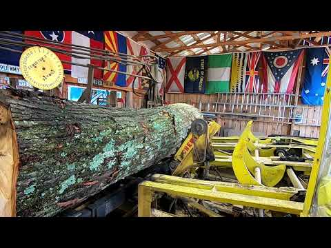 sawing a big scarlet oak log into decking # 455
