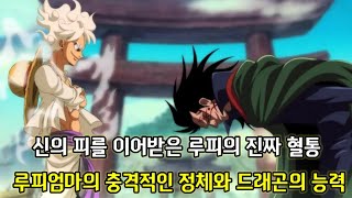 [원피스 분석]신의 피를 이어받은 루피의 진짜 혈통 그리고 루피엄마의 충격적인 정체와 드래곤의 능력