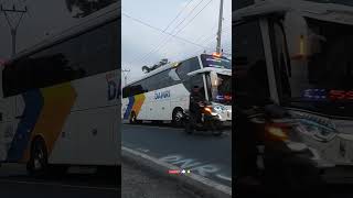 Download lagu TELOLET BASSURI BUSS DAMRI ‼️ NIIIH BOSS .. 😱 mp3 Download lagu TELOLET BASSURI BUSS DAMRI ‼️ NIIIH BOSS .. 😱 mp3