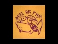 Reel Big Fish - Your Guts (I Hate 'Em)