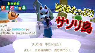 【あつまれどうぶつの森】無限にサソリが沸く島とか即死やんｗ。ドードーエアラインズの闇を垣間見た話（あつ森）