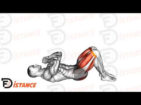 Exercice Relevé de bassin (Hip Thrust) élastique