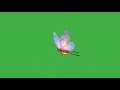 Fairy Butterfly Green Screen Magic Fairy Flying Butterfly Green Screen