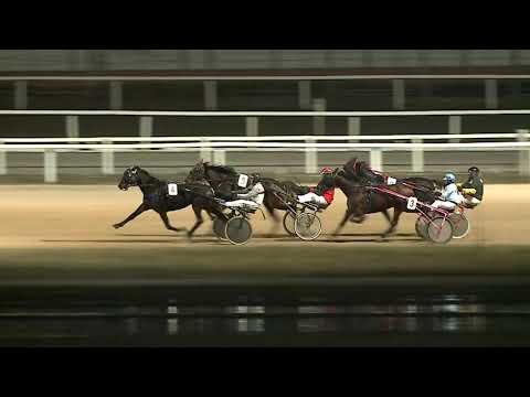 2021.12.04. 11. futam - OROSHÁZI LOVAS EGYESÜLET DÍJA HENDIKEP