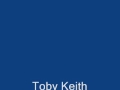 Toby keith - Lets Get Drunk And Be Somebody