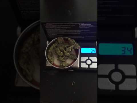 Weighing 3.5 grams of weed (eigth)