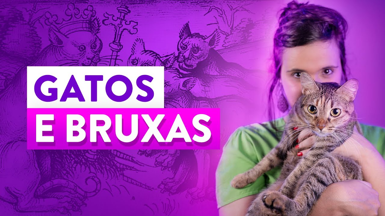 Bruxas e Gatos: Entenda essa Poderosa Ligação