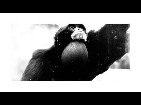 Fertile Hump - No One Owes You