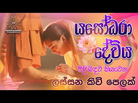 යශෝධරා දේවිය පිලිබද  කවි පෙලක් #yashodarakavi #fyp #sad #paramibuddihist