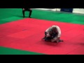 Judo Veteranen EM 09 M4 73kg Kirov Hofer Willi Mp4