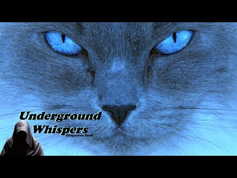 Pysh – Niebieski Kot (Original Mix) [Poesie Musik]