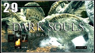 ノーカットでダブル霊廟の聖獣を倒す 【実況 DARKSOULS ダクソリマスター】#29