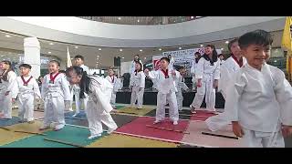 MSOG wakees specialization
