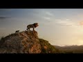 Lion King Telugu Trailer