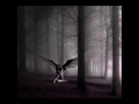 EKS - Wystarczy (EFEKT MOTYLA)