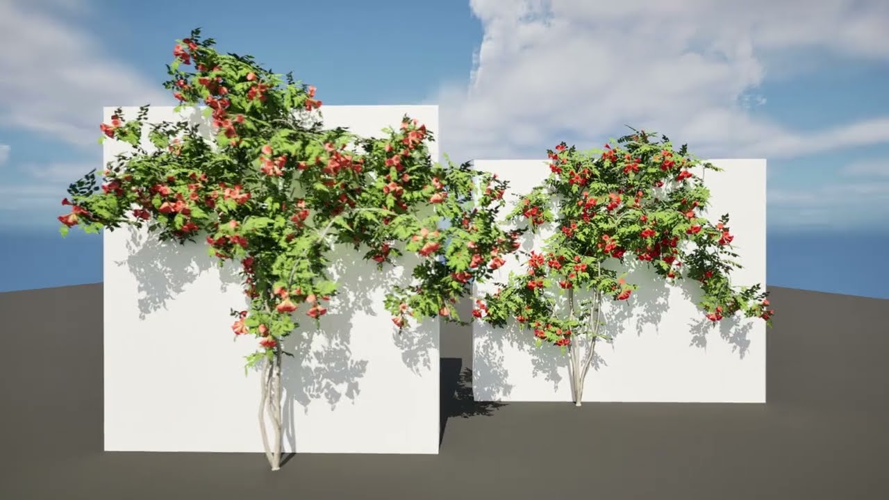 Classic Flamenco Campsis Radicans Vine s 3D Model