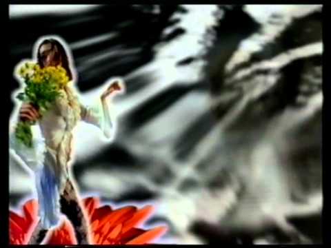 Hippies - Burma Shave