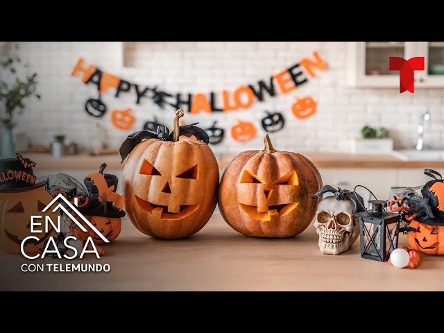 Vídeo relacionado con Csoisoy Mantel Individual Invertido, 180x32cm Welcome to The Other World Decoraciones Fiesta Inquietante Suministros Fiestas Películas Terror para Habitación Decoraciones Mesa Hogar Cocina Halloween