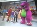 Barney S Animals In Motion