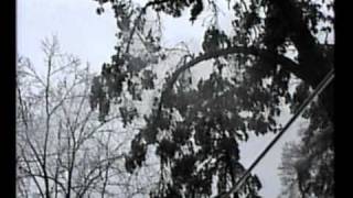 preview picture of video 'Ice Storm in Rock Hill, SC - December, 2002'