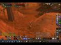 My Lvl 55 Beast Master Vs A Lvl 60 Death Knight