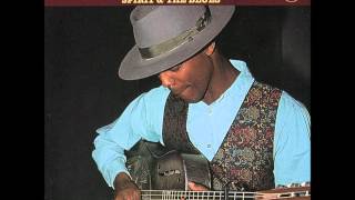 Eric Bibb - In My Father's House