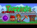 The Ultimate Beginner S Guide To Terraria Spoilers