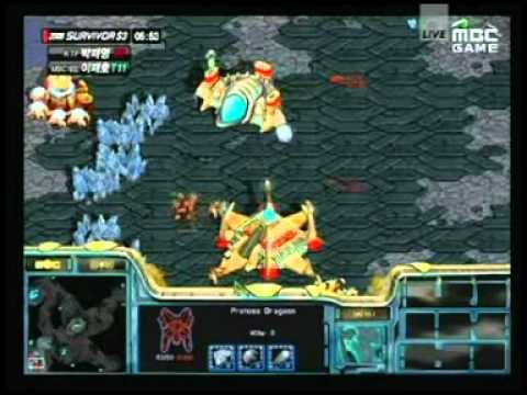 starcraft brood war pc cheats