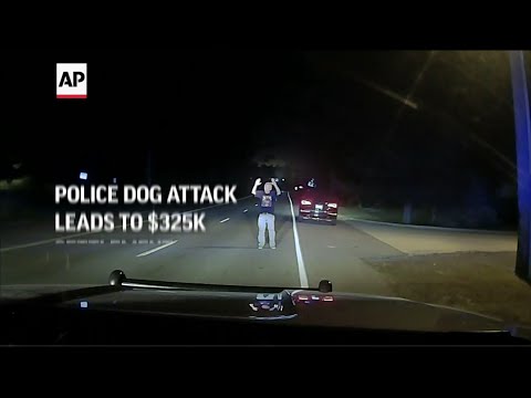Police dog attack leads to $325K settlement