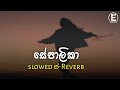 Sepalika Slowed Reverb සේපාලිකා Theme Song Reverb Sinhala Slowed Reverb New Song Pla