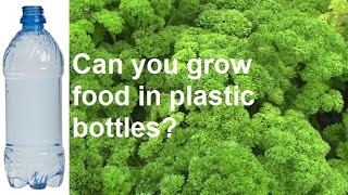 Can you grow vegetables in plastic drink bottles?