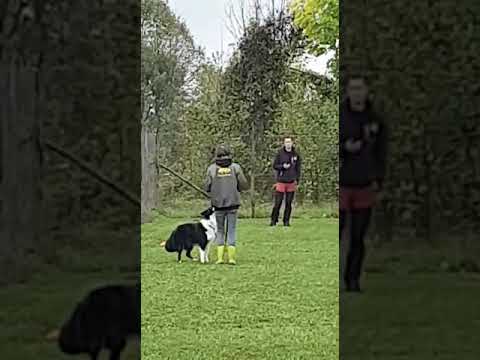 1o posto oggi in gara Rally-O' cat.G1 Csen