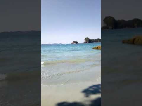 New Zealand beach, coromandal