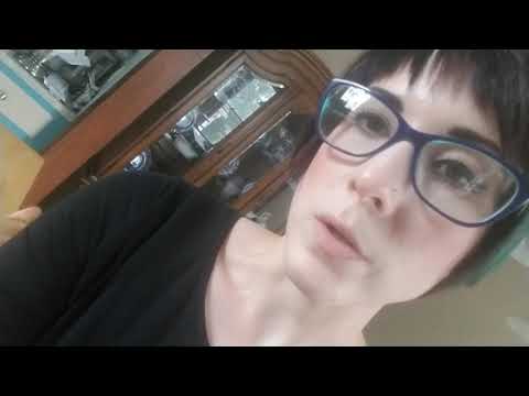 The difference between feral, semi feral, and stray cats