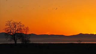 Minority Report theme - A New Beginning