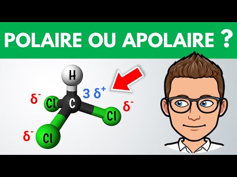 Polar or nonpolar molecule? ✏️ Exercise | 1st year | Physics and Chemistry