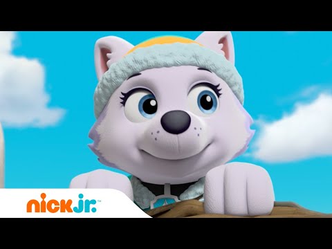 Capa de Patrulha Canina | A Patrulha Canina joga Queimada contra Macacos! 🐵 | Nick Jr. em Português