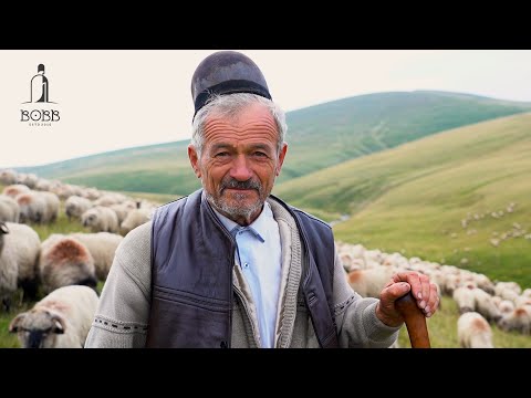 Coborâtul oilor din munții Retezat | 180 de oi OTRĂVITE | Vorba dulce mult aduce Ep.5