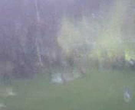 salida de boca vs gremio