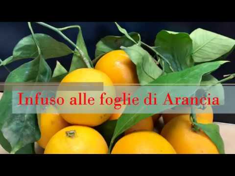 Benda sulla spalla per comprare armi Se è possibile andare in pensione con osteocondrosi