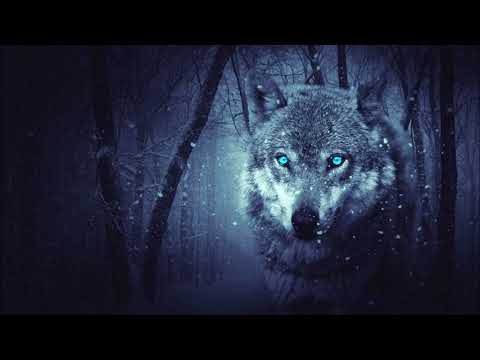 RGM Tape Jajez "Sajez" prod. gas shawty