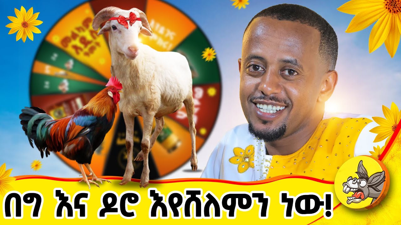 ለአዲስ ዓመት በግ እና ዶሮ እየሸለምን ነው  !! #habesha #ethiopa #comedian #eshetumelese