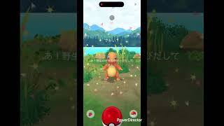 ビッグヒトカゲ #pokemongo #pokemon #ポケgo #ポケモンgo