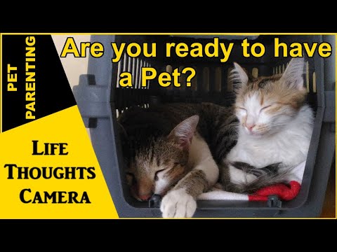 Pet Parenting: Are you ready to have a Pet? - Ep 266 | Life Thoughts Camera
